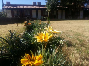  posada cerro los nogales   Сан-Агустин-Дель-Валье-Фертиль